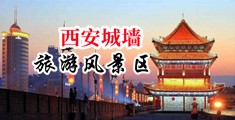 我要看女人操逼逼中国陕西-西安城墙旅游风景区